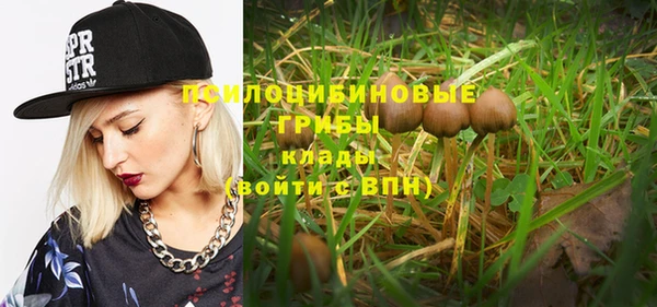 крисы Инсар