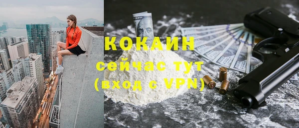 крисы Инсар