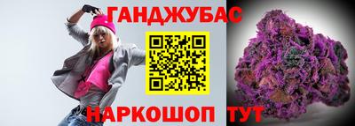 крисы Краснознаменск