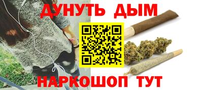 крисы Краснознаменск