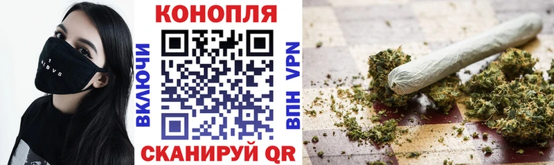кракен tor  Ирбит  shop клад  Каннабис тримм 